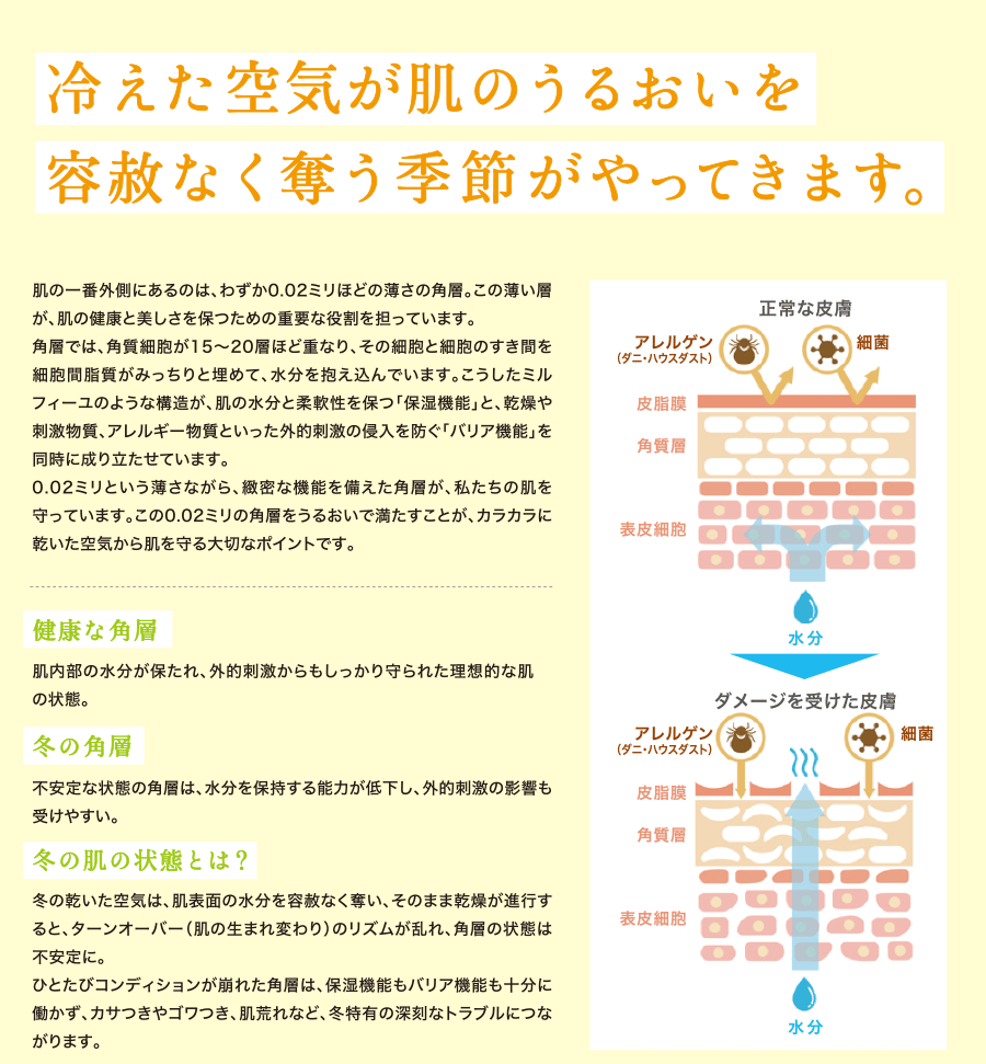 冷えた空気が肌のうるおいを容赦なく奪う季節がやってきます。