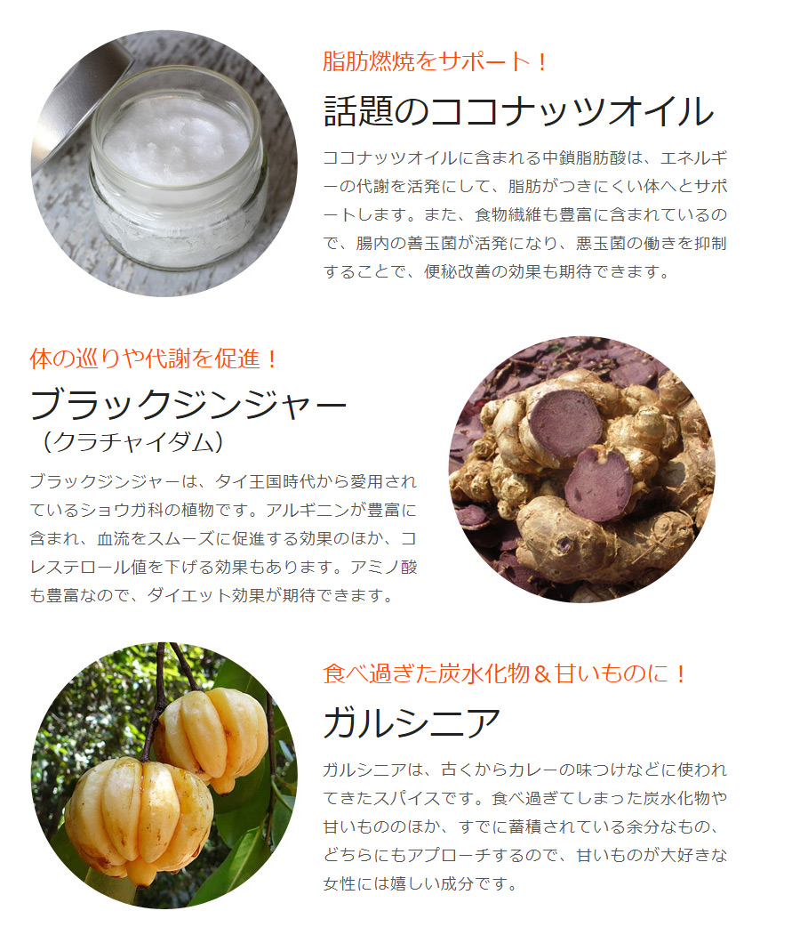 脂肪燃焼をサポート!
話題のココナッツオイル 食べ過ぎた炭水化物&甘いものに!ガルシニア 体の巡りや代謝を促進!ブラックジンジャー(クラチャイダム)