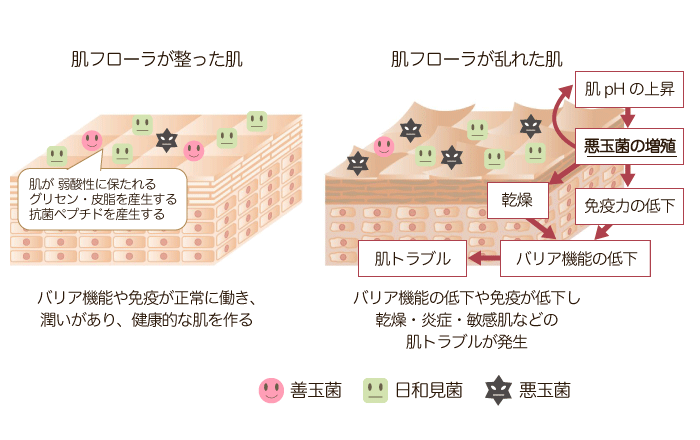 肌フローラが整った肌　肌フローラが乱れた肌
