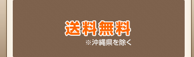 送料無料（沖縄県は送料が異なります）