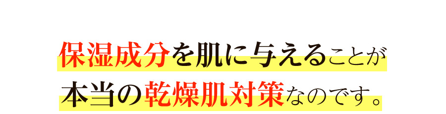 保湿成分を肌に与えることが本当の乾燥肌対策なのです。