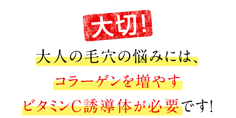 【大切！】大人の毛穴の悩みには、コラーゲンを増やすビタミンC誘導体が必要です！