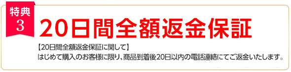 特典3：オールインワンゲルならコレ！ナチュラルエレメンツ バランシングゲルのサンプルを5回分プレゼント！