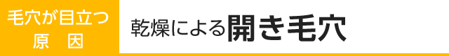 大人の毛穴が目立つ原因2：加齢によるたるみ型毛穴