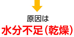 原因は水分不足