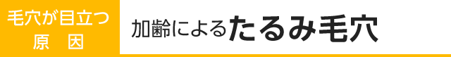 大人の毛穴が目立つ原因2：加齢によるたるみ型毛穴