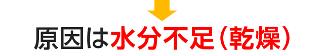 大人の毛穴が目立つ原因2：加齢によるたるみ型毛穴