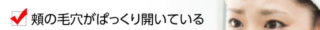 頬の毛穴がぱっくり開いている