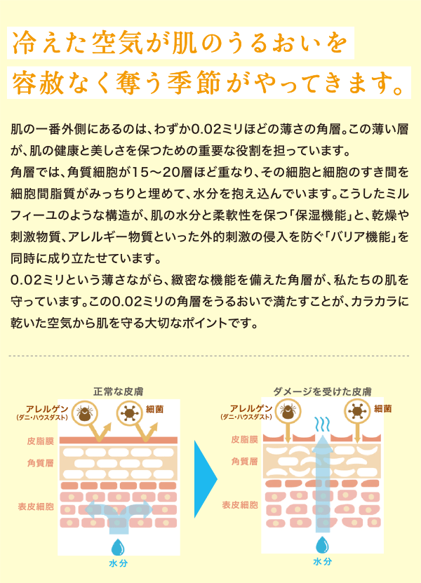 冷えた空気が肌のうるおいを容赦なく奪う季節がやってきます。