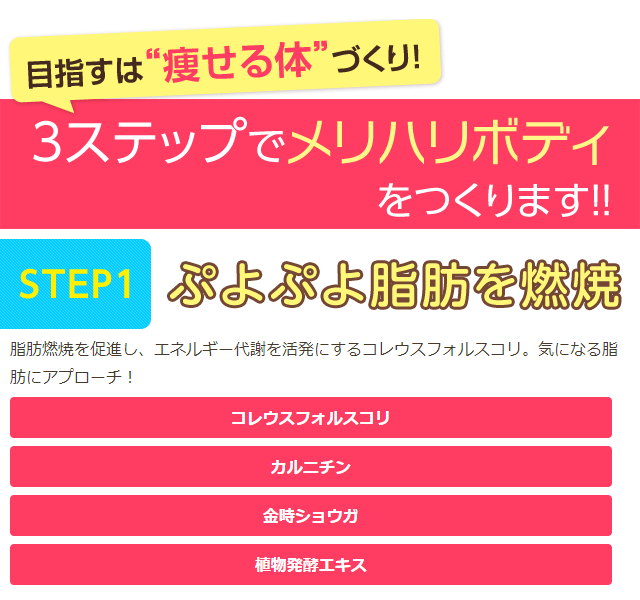 目指すは痩せる体作り！３ステップでメリハリボディをつくります！STEP1 ぷよぷよ脂肪を燃焼