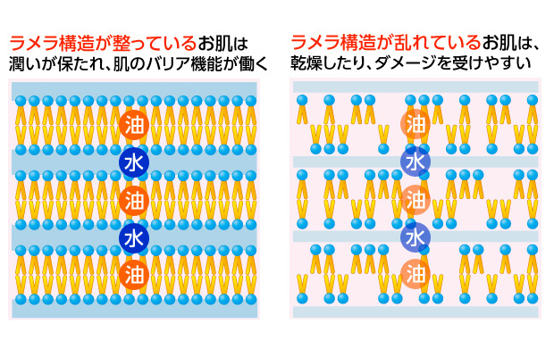 ゲルを健康な肌と同じラメラ構造にする高い技術