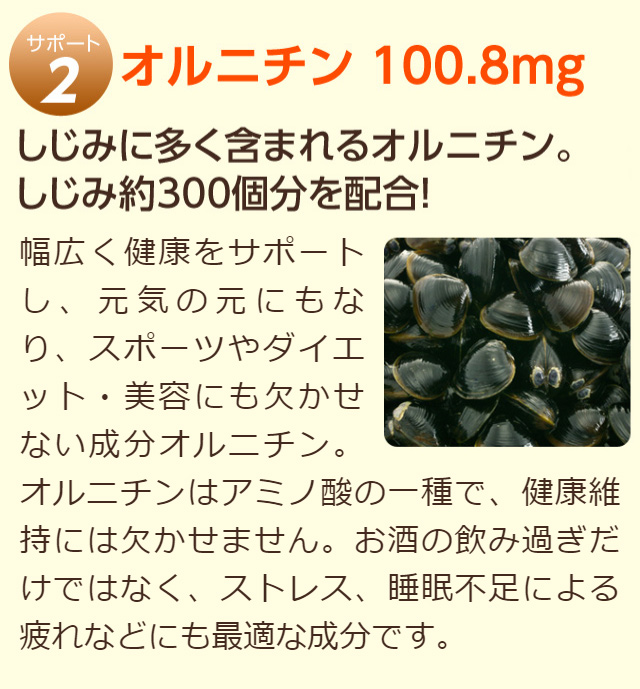 オルニチン　100.8mg