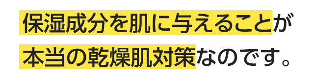 保湿成分を肌に与えることが本当の乾燥肌対策なのです。