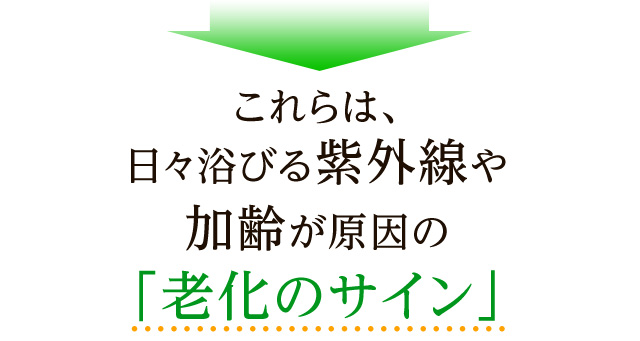 これらは、日々浴びる紫外線や加齢が原因の「老化のサイン」