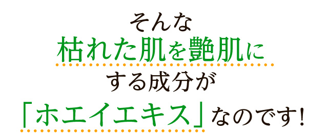 枯れた肌を艶肌にする成分が「ホエイエキス」なのです！