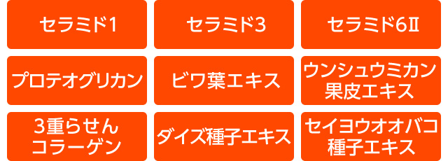 セラミド1、セラミド3、セラミド6II、プロテオグリカン、ビワ葉エキス、ウンシュウミカン果皮エキス、3重らせんコラーゲン、ダイズ種子エキス、セイヨウオオバコ種子エキス