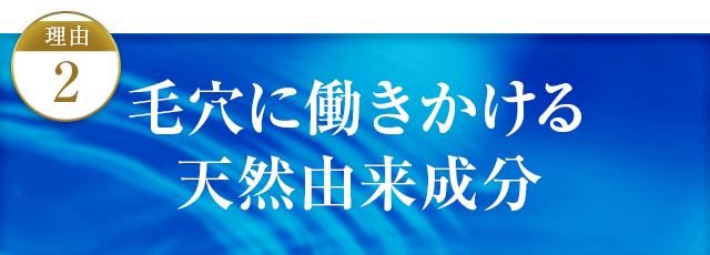 毛穴に働きかける天然由来成分