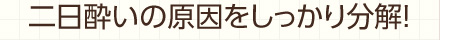 豚肝臓は二日酔いの原因をしっかり分解！